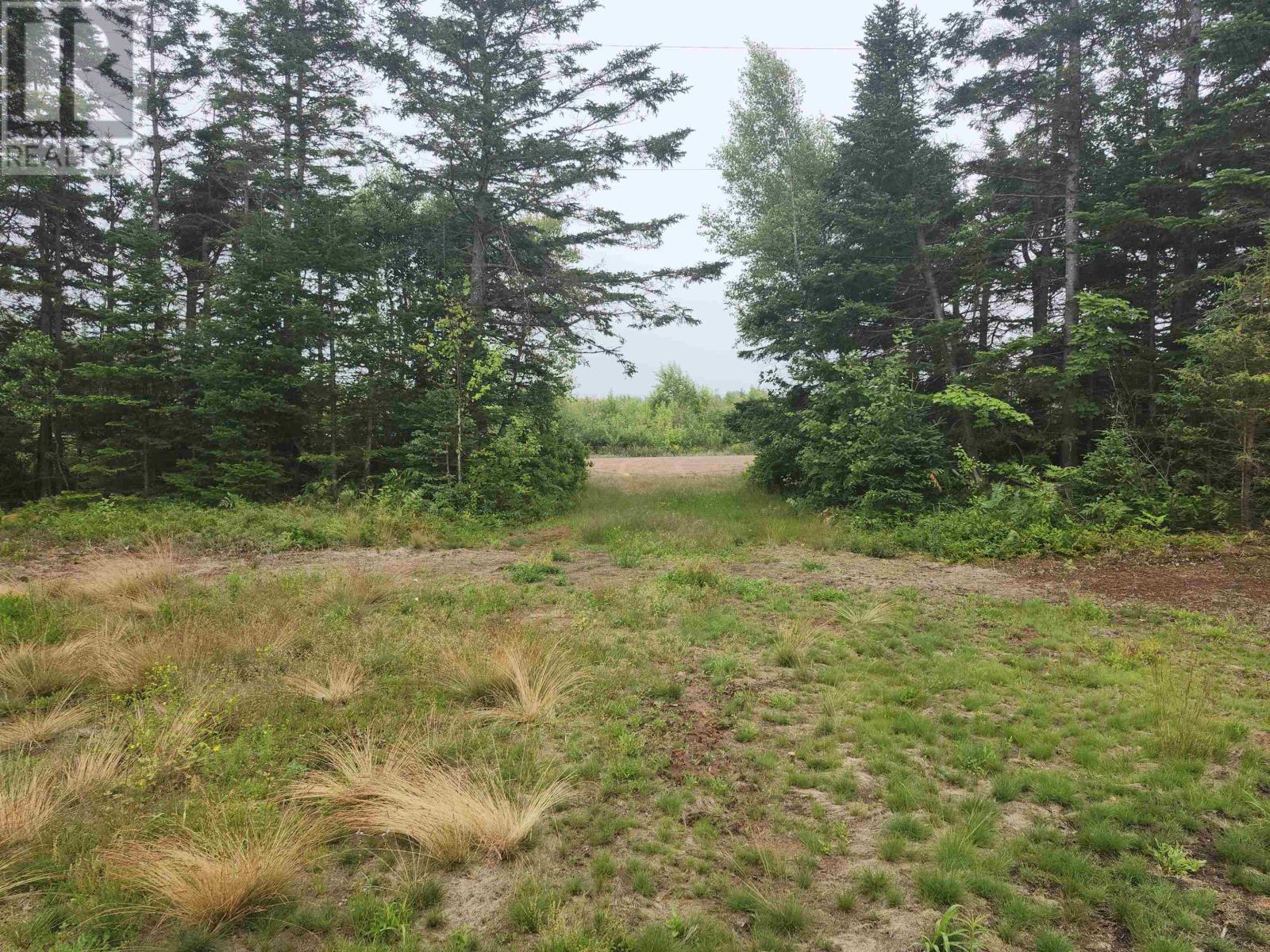 Acreage Selkirk Road, Melville, Prince Edward Island  C0A 1A0 - Photo 7 - 202517841