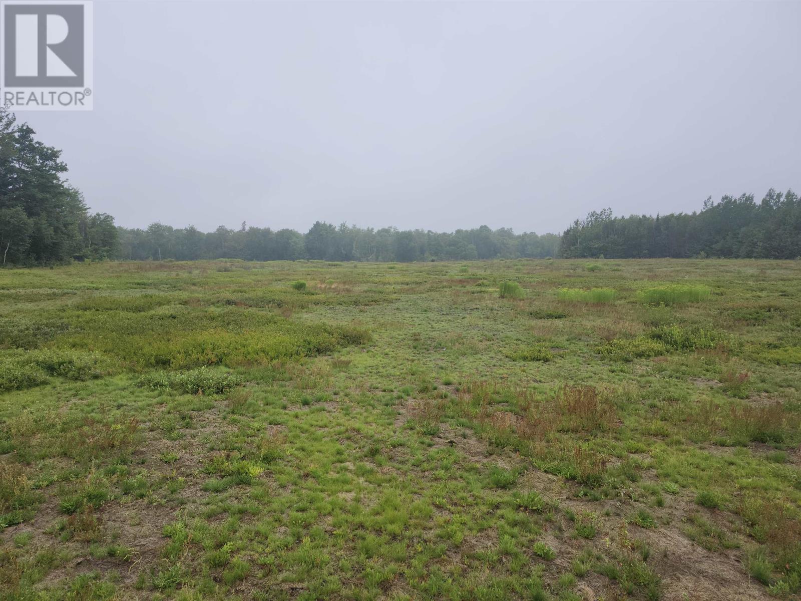 Acreage Selkirk Road, Melville, Prince Edward Island  C0A 1A0 - Photo 4 - 202517841