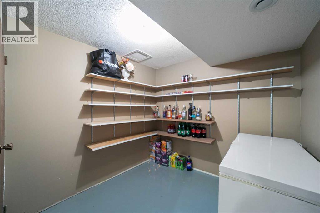 4 Meadowlark Drive, Sedgewick, Alberta  T0B 4C0 - Photo 31 - A2215396