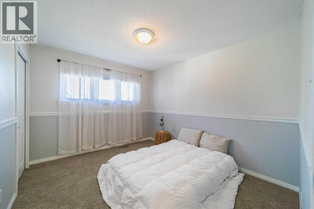 4 Meadowlark Drive, Sedgewick, Alberta  T0B 4C0 - Photo 16 - A2215396