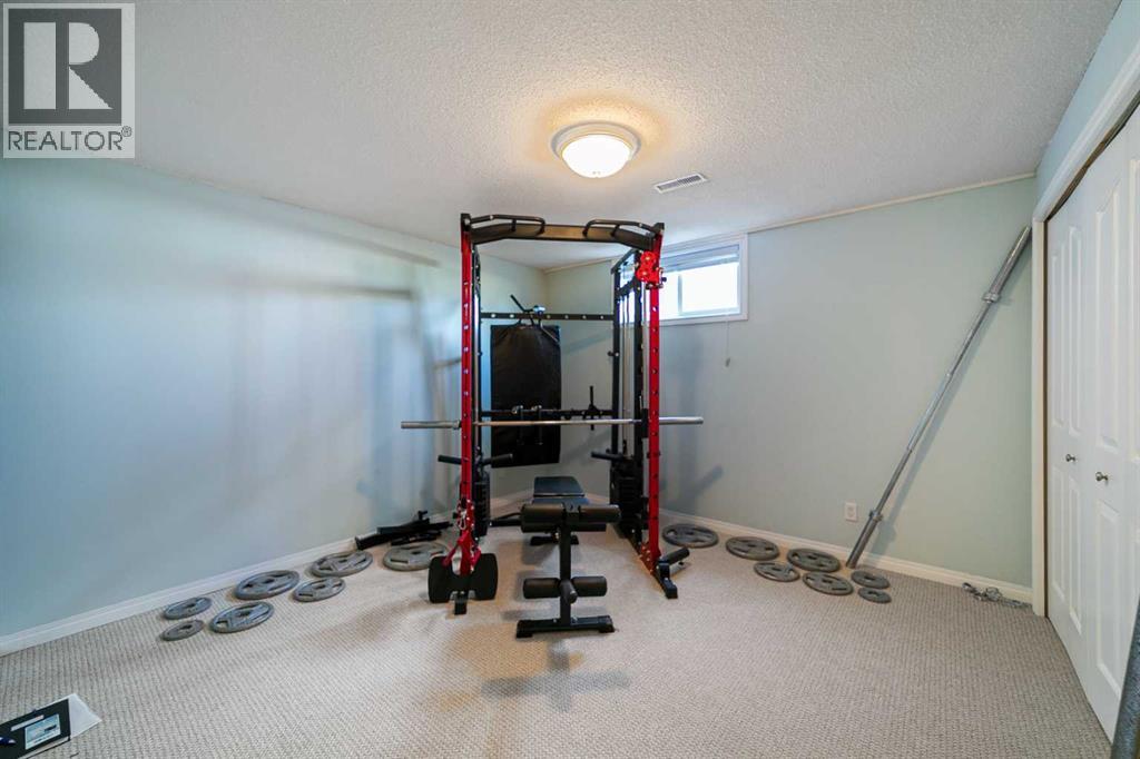 4 Meadowlark Drive, Sedgewick, Alberta  T0B 4C0 - Photo 26 - A2215396