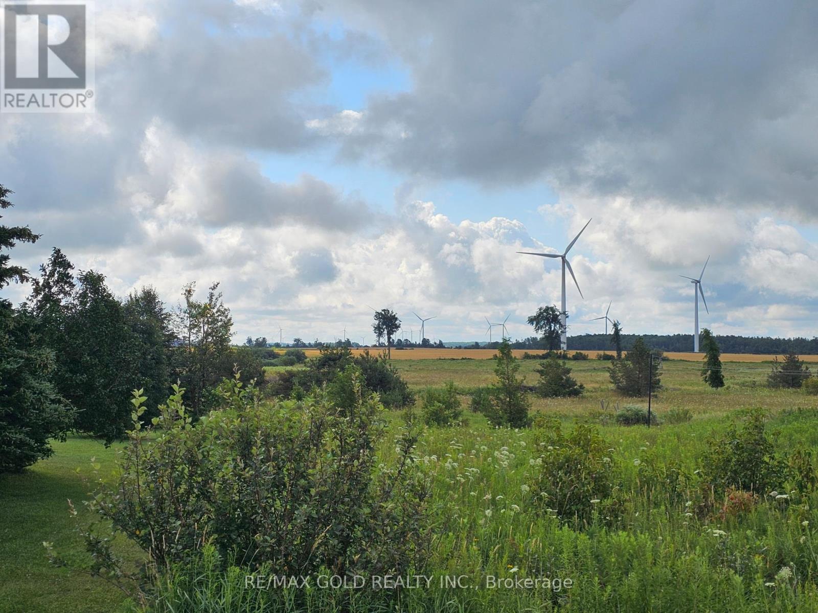 0 260 Side Road, Melancthon, Ontario  N0C 1B0 - Photo 4 - X12296641
