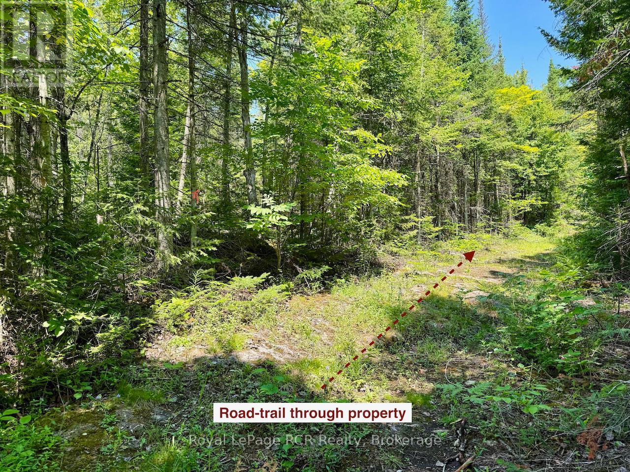 Lt11-12 Con 1 Ebr Albemarle, South Bruce Peninsula, Ontario  N0H 1T0 - Photo 10 - X12296656