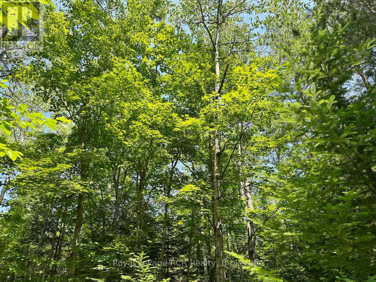 Lt11-12 Con 1 Ebr Albemarle, South Bruce Peninsula, Ontario  N0H 1T0 - Photo 11 - X12296656