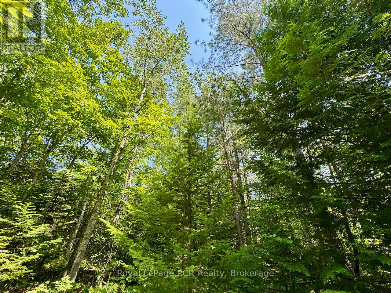 Lt11-12 Con 1 Ebr Albemarle, South Bruce Peninsula, Ontario  N0H 1T0 - Photo 12 - X12296656