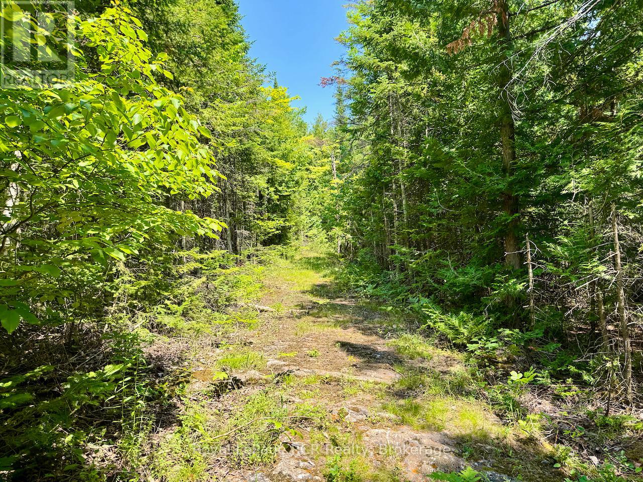 Lt11-12 Con 1 Ebr Albemarle, South Bruce Peninsula, Ontario  N0H 1T0 - Photo 16 - X12296656