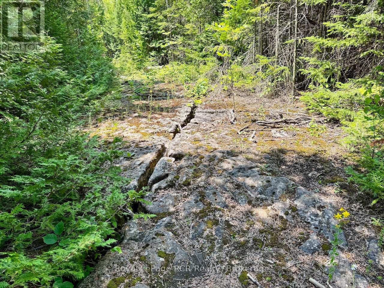 Lt11-12 Con 1 Ebr Albemarle, South Bruce Peninsula, Ontario  N0H 1T0 - Photo 17 - X12296656