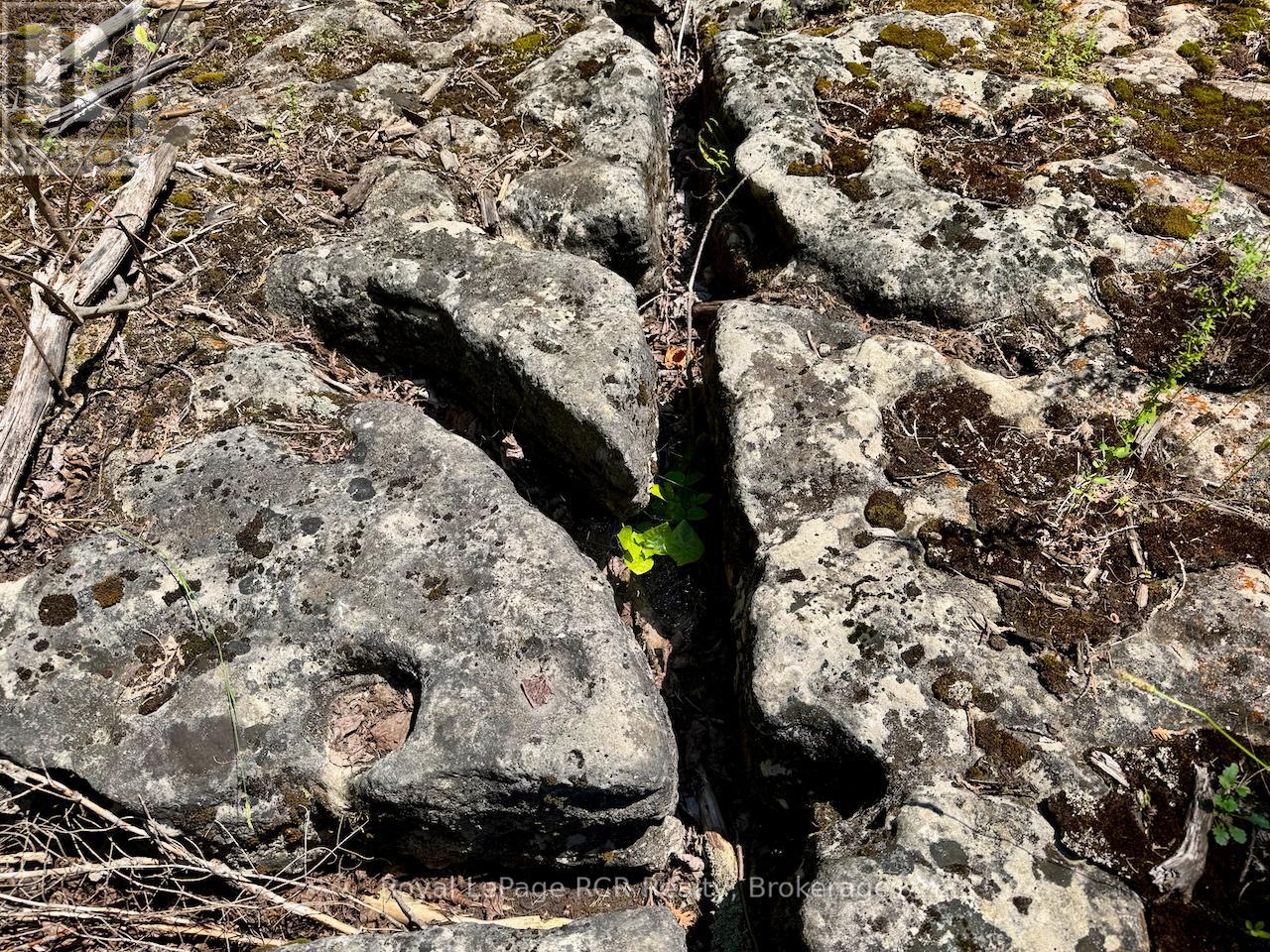 Lt11-12 Con 1 Ebr Albemarle, South Bruce Peninsula, Ontario  N0H 1T0 - Photo 18 - X12296656