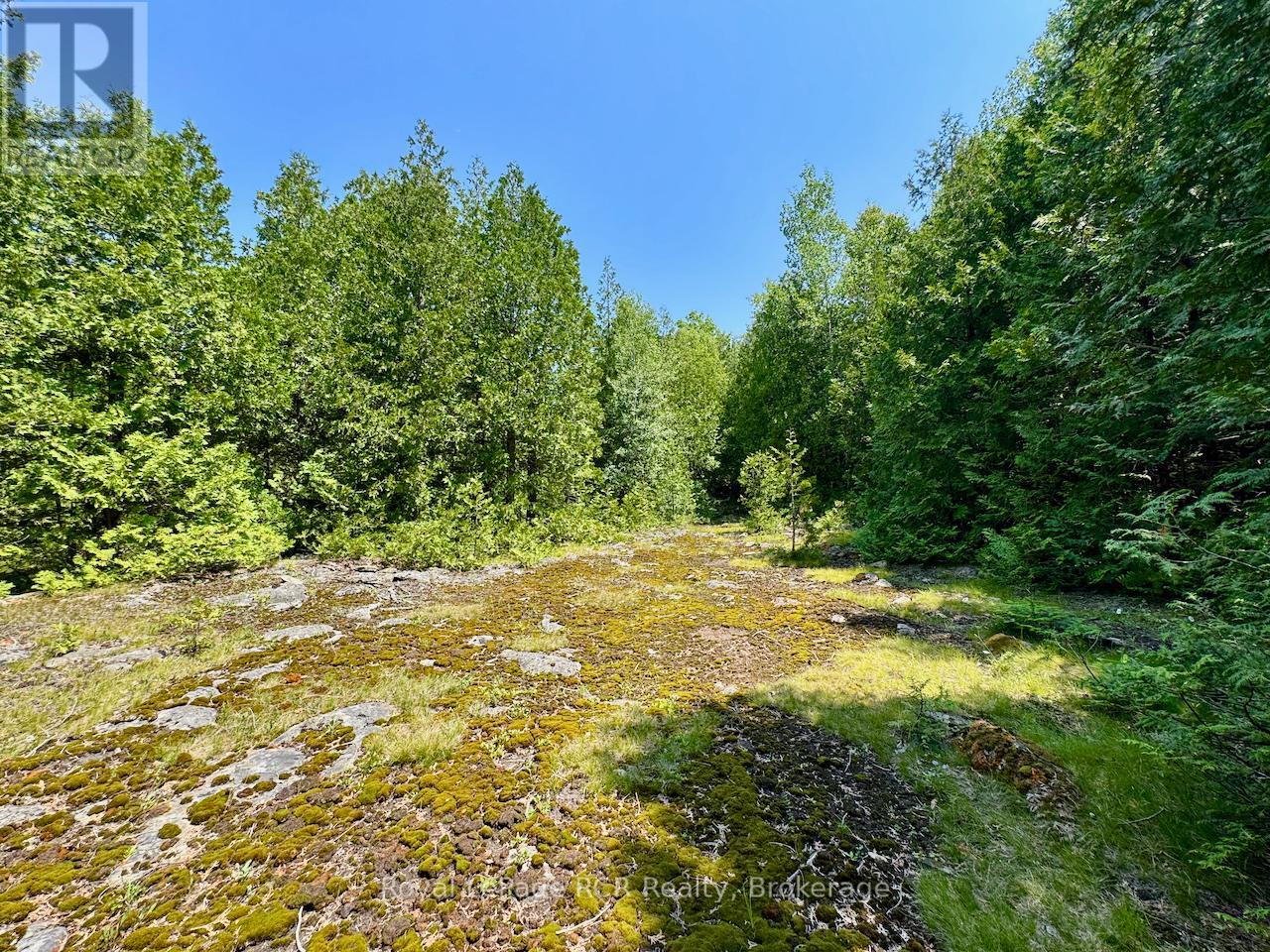 Lt11-12 Con 1 Ebr Albemarle, South Bruce Peninsula, Ontario  N0H 1T0 - Photo 19 - X12296656