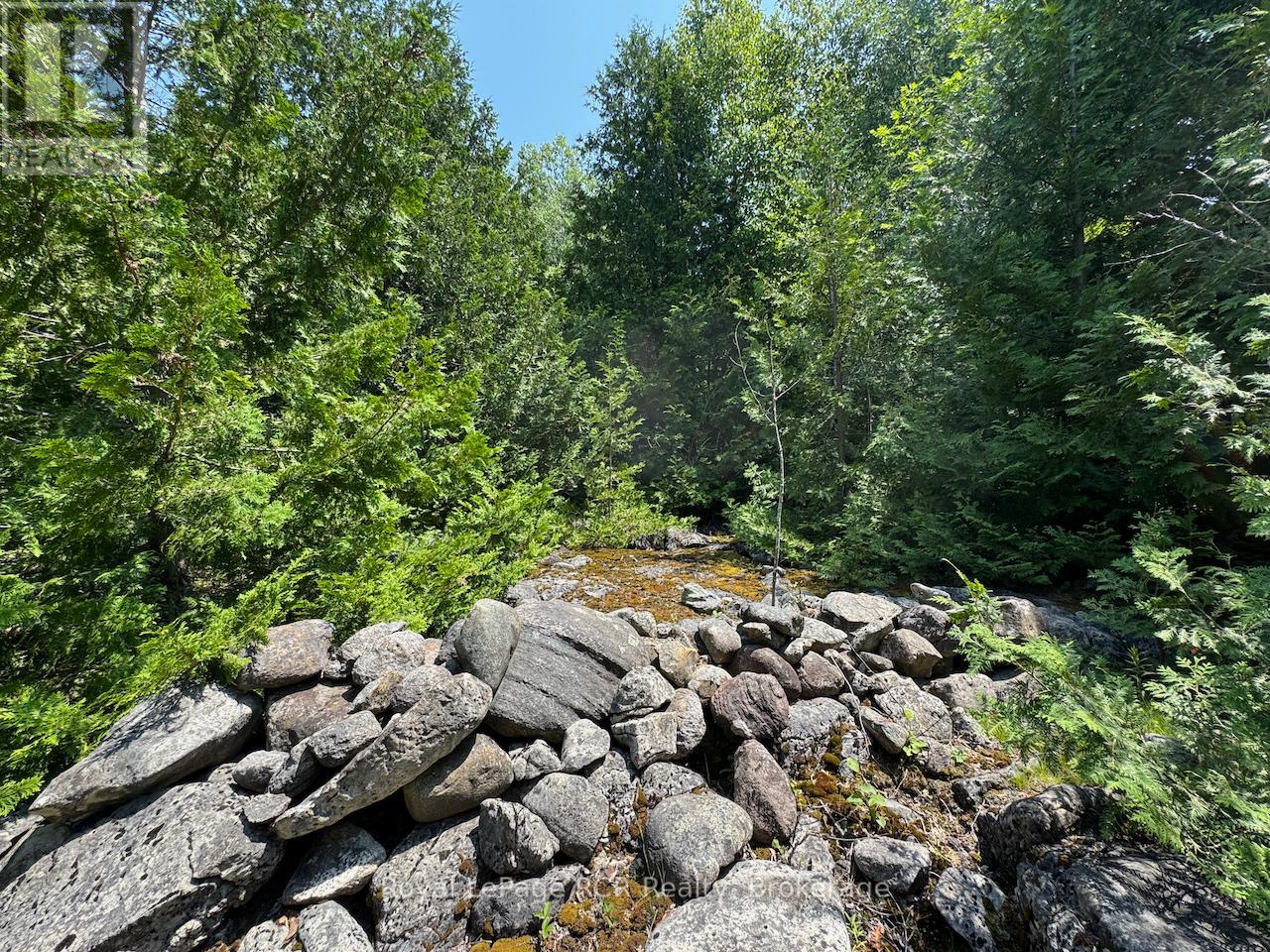 Lt11-12 Con 1 Ebr Albemarle, South Bruce Peninsula, Ontario  N0H 1T0 - Photo 20 - X12296656