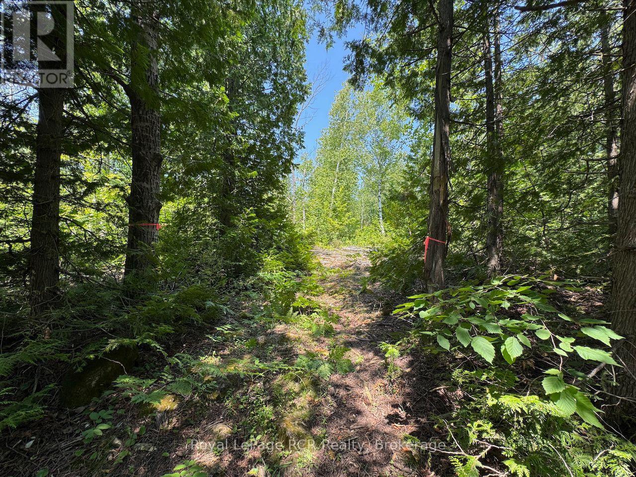 Lt11-12 Con 1 Ebr Albemarle, South Bruce Peninsula, Ontario  N0H 1T0 - Photo 24 - X12296656
