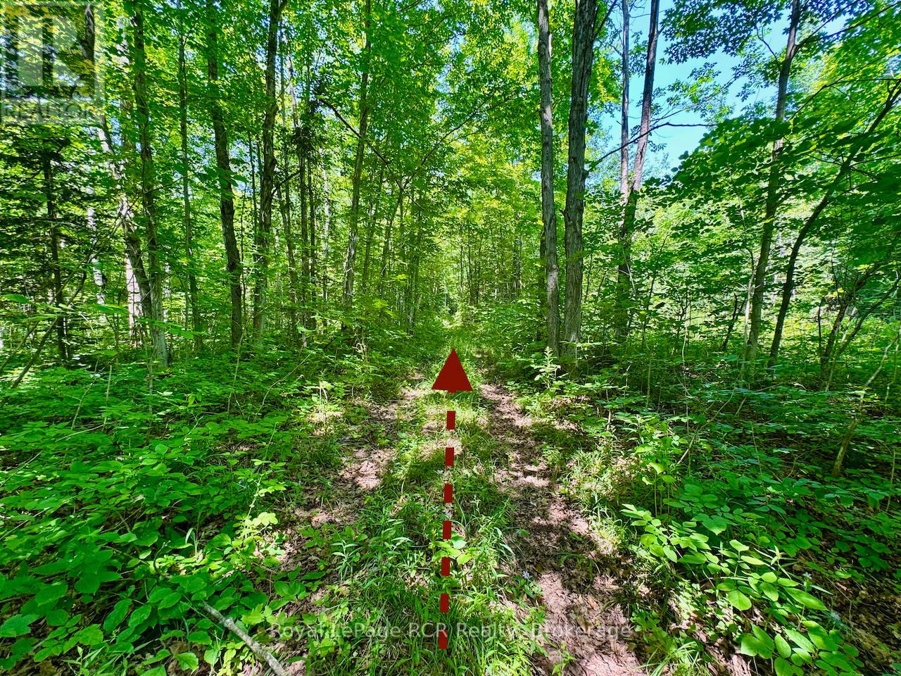 Lt11-12 Con 1 Ebr Albemarle, South Bruce Peninsula, Ontario  N0H 1T0 - Photo 6 - X12296656