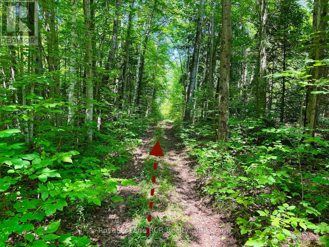 Lt11-12 Con 1 Ebr Albemarle, South Bruce Peninsula, Ontario  N0H 1T0 - Photo 7 - X12296656
