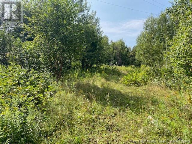 Property at 432 Taxis River Road image 3