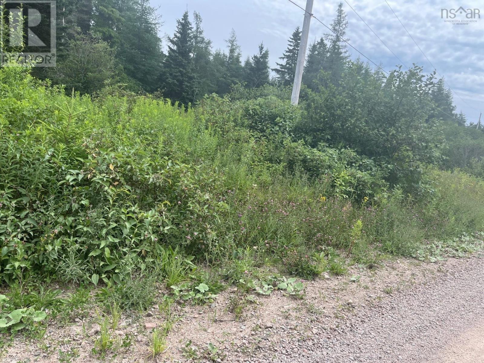 Red Point Road, Mckinnons Harbour, Nova Scotia  B2C 1E8 - Photo 2 - 202518179