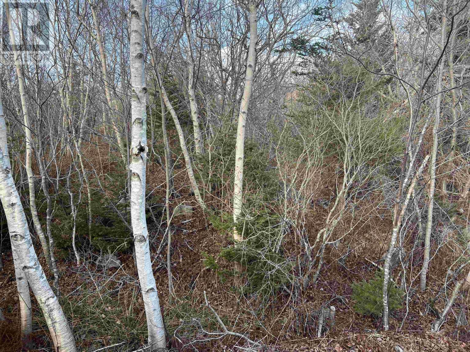 Lot 3 Mackeral Rock Road, Sandy Point, Nova Scotia  B0T 1W0 - Photo 1 - 202510332