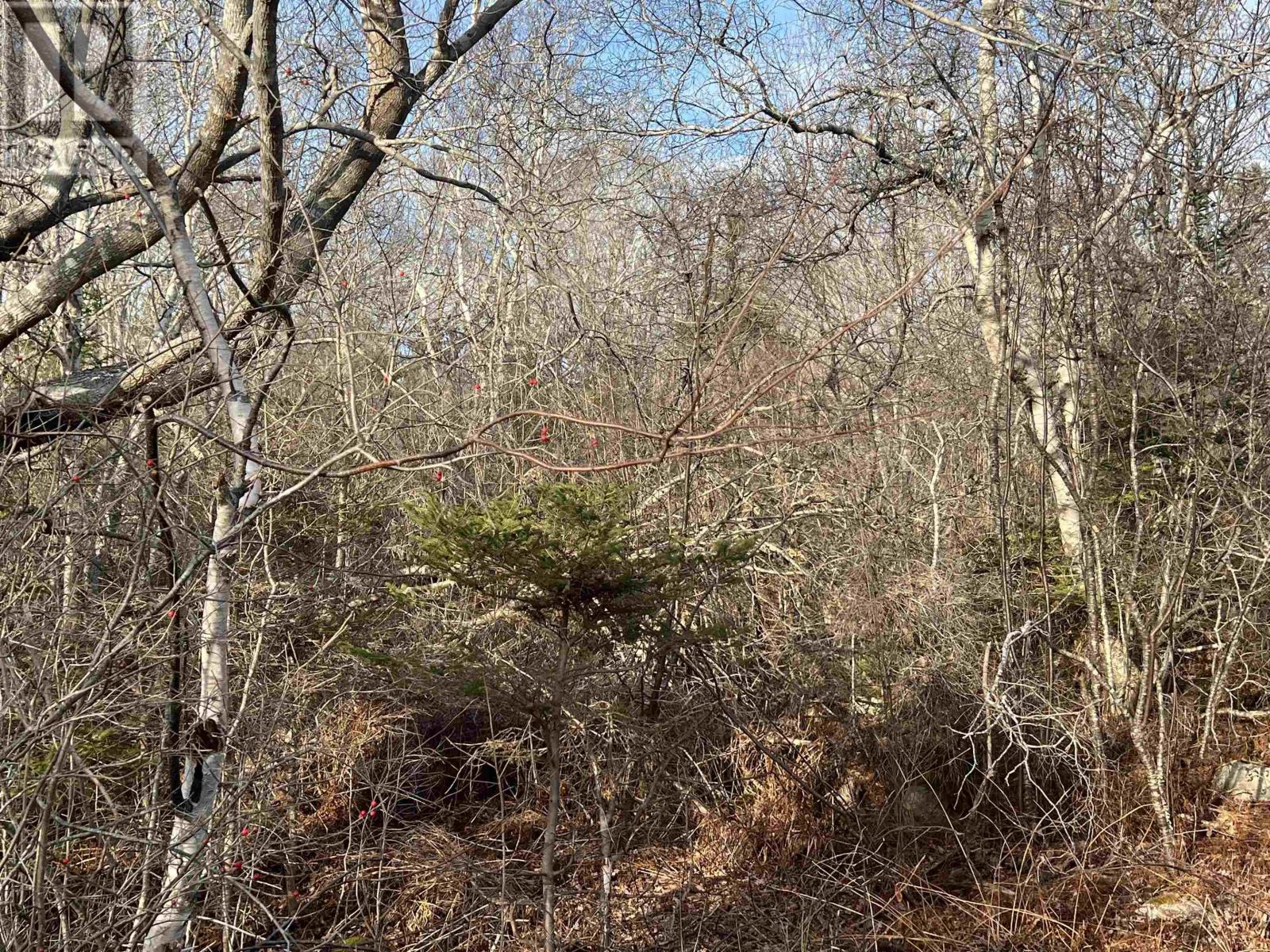 Lot 3 Mackeral Rock Road, Sandy Point, Nova Scotia  B0T 1W0 - Photo 3 - 202510332