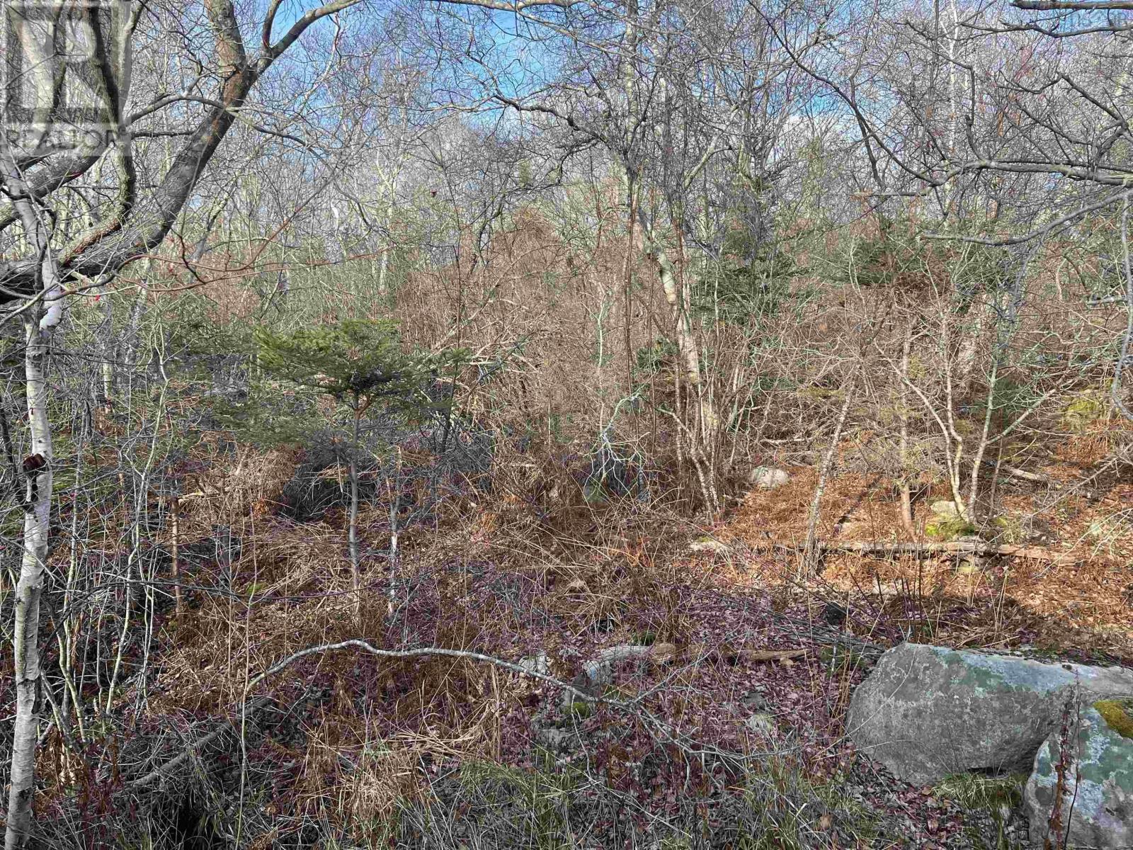 Lot 3 Mackeral Rock Road, Sandy Point, Nova Scotia  B0T 1W0 - Photo 4 - 202510332