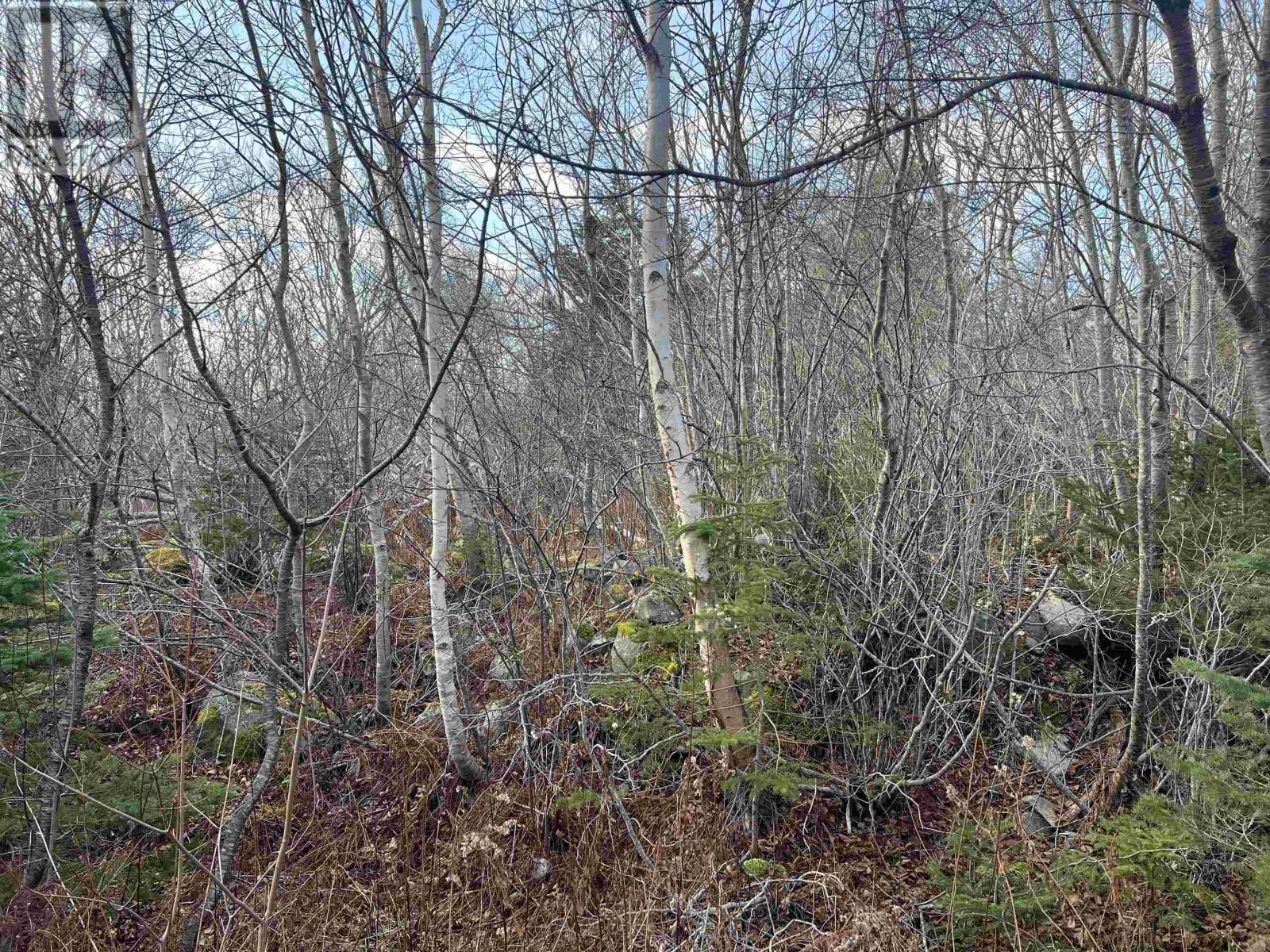 Lot 3 Mackeral Rock Road, Sandy Point, Nova Scotia  B0T 1W0 - Photo 2 - 202510332