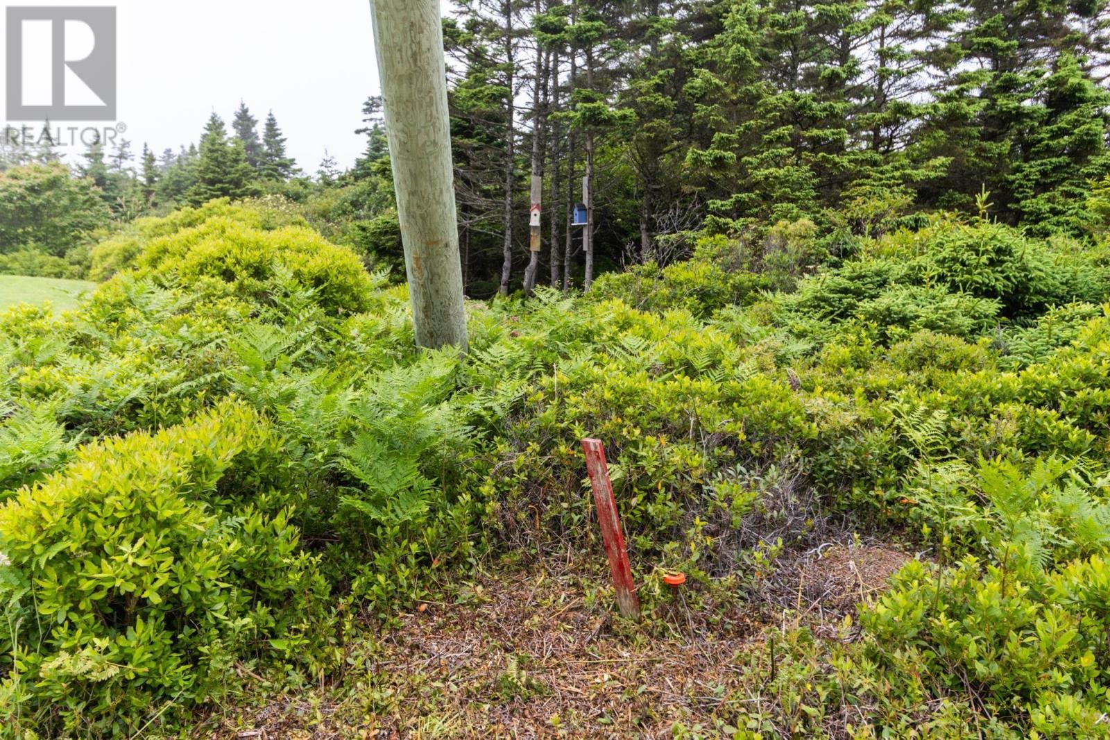 2840 Melbourne Road, Pinkneys Point, Nova Scotia  B0W 1B0 - Photo 31 - 202512981