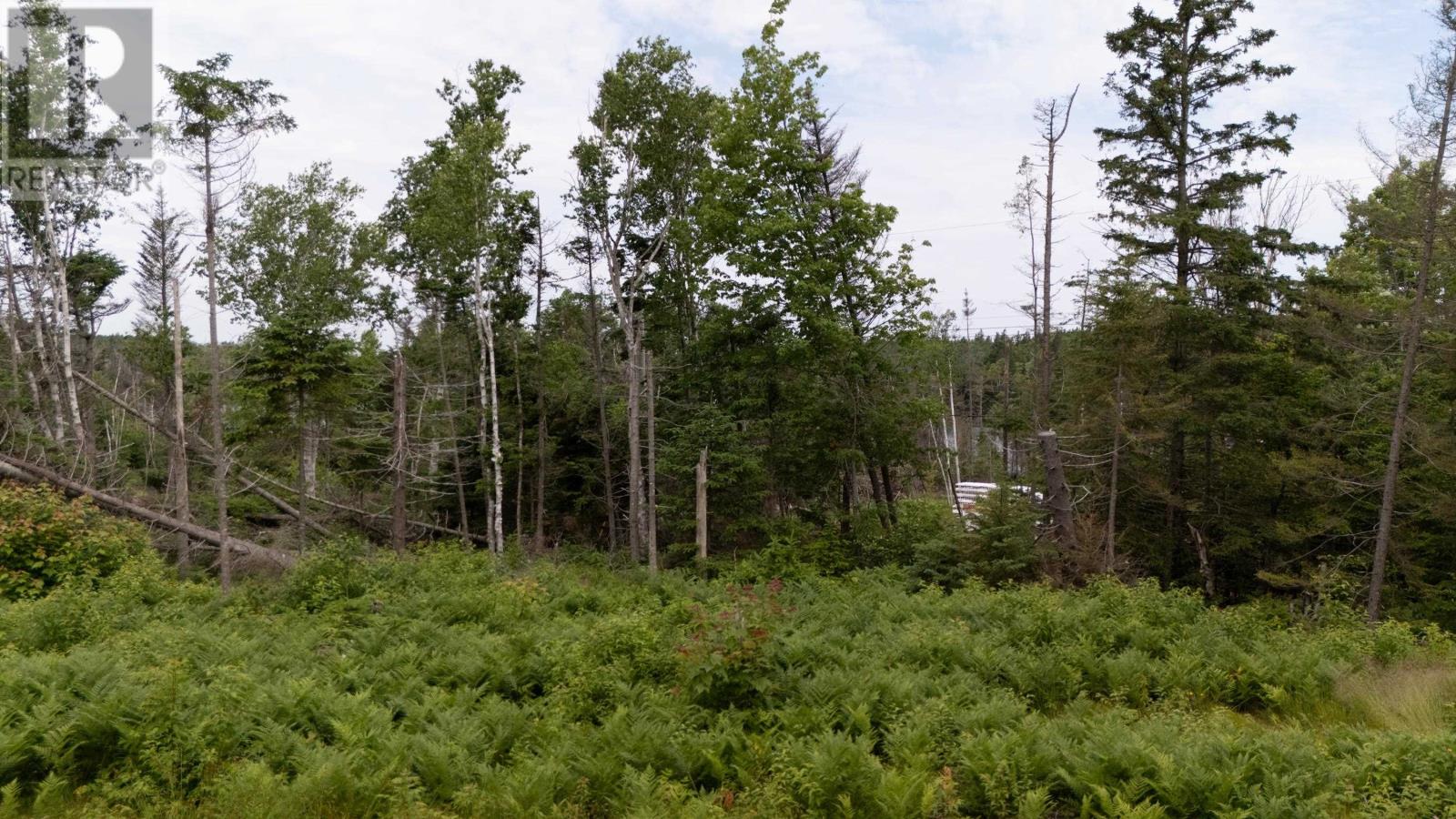 Lot 61 & 62 Bald Eagle Lane, Mill Cove, Prince Edward Island  C0A 1T0 - Photo 10 - 202518218