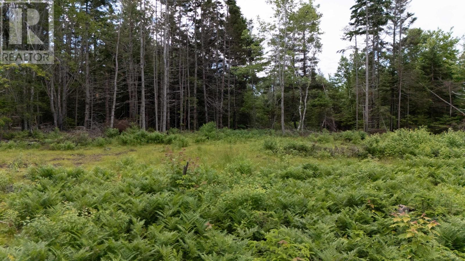 Lot 61 & 62 Bald Eagle Lane, Mill Cove, Prince Edward Island  C0A 1T0 - Photo 11 - 202518218