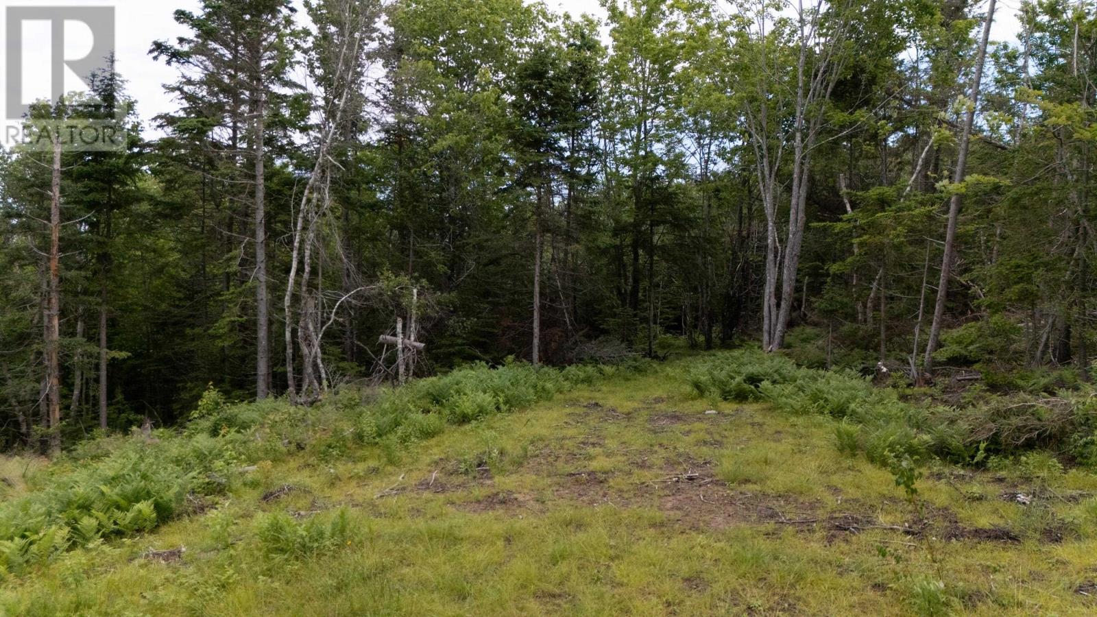 Lot 61 & 62 Bald Eagle Lane, Mill Cove, Prince Edward Island  C0A 1T0 - Photo 12 - 202518218