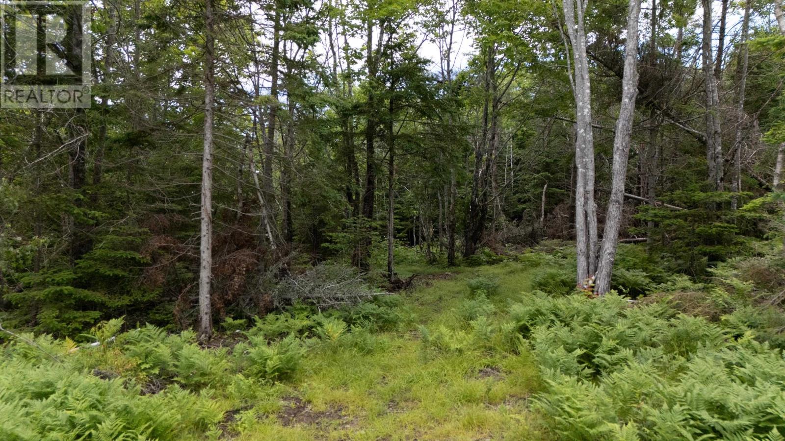 Lot 61 & 62 Bald Eagle Lane, Mill Cove, Prince Edward Island  C0A 1T0 - Photo 13 - 202518218