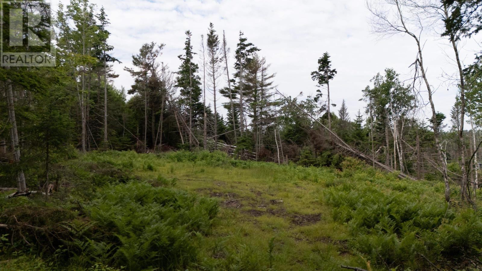 Lot 61 & 62 Bald Eagle Lane, Mill Cove, Prince Edward Island  C0A 1T0 - Photo 14 - 202518218