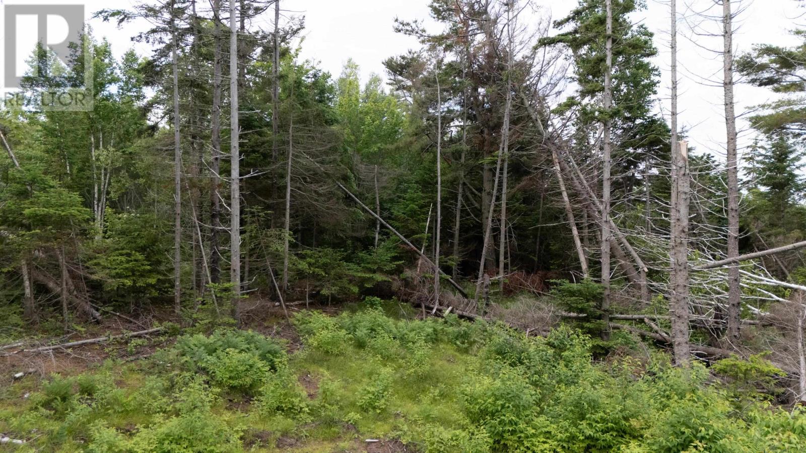 Lot 61 & 62 Bald Eagle Lane, Mill Cove, Prince Edward Island  C0A 1T0 - Photo 7 - 202518218