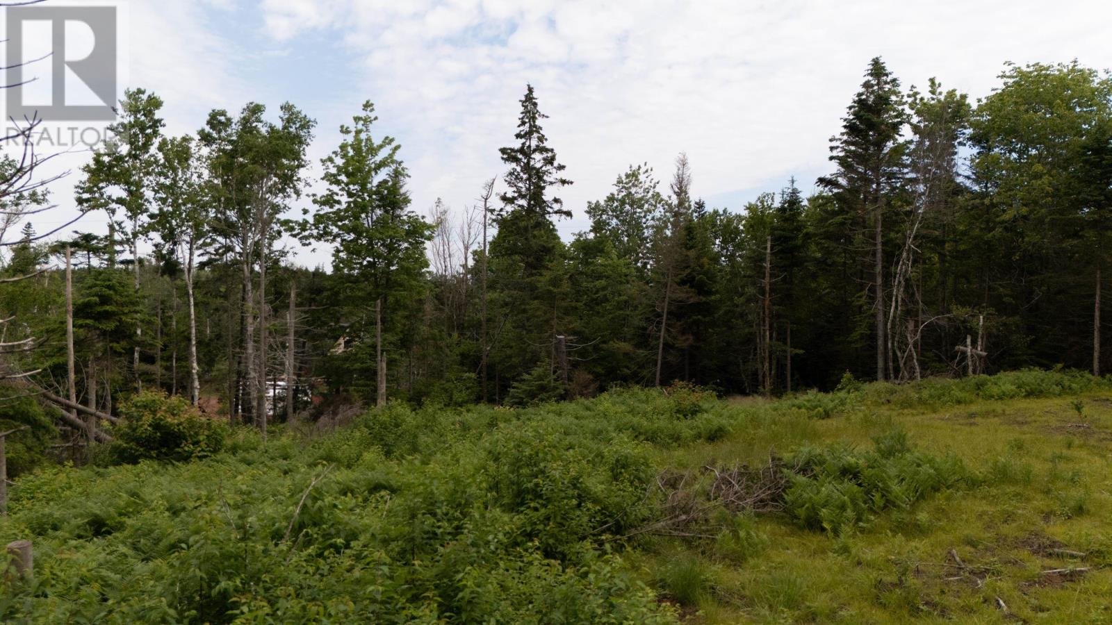 Lot 61 & 62 Bald Eagle Lane, Mill Cove, Prince Edward Island  C0A 1T0 - Photo 8 - 202518218