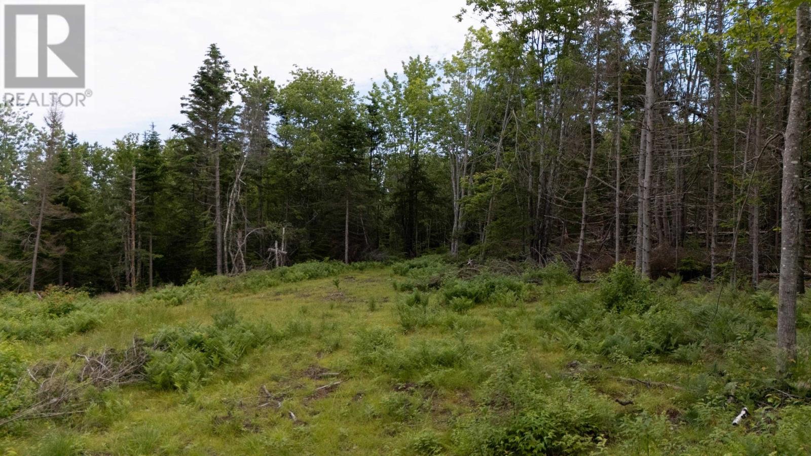 Lot 61 & 62 Bald Eagle Lane, Mill Cove, Prince Edward Island  C0A 1T0 - Photo 9 - 202518218