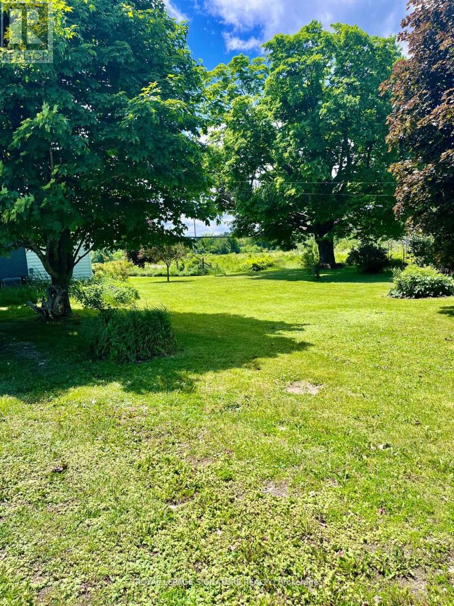 31 Blue Bay Lane, Kawartha Lakes, Ontario K0M 1N0 - Photo 35 - X12146924