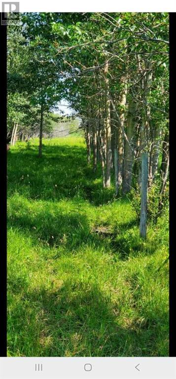 385057a Rge Rd 4-3 Street, Rural Clearwater County, Alberta  T0M 0X0 - Photo 8 - A2240919