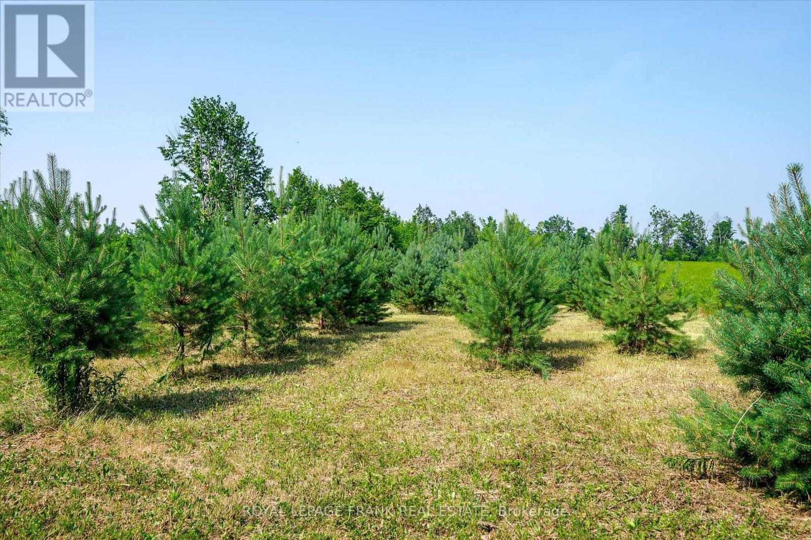 1060 Centre Line, Selwyn, Ontario  K9J 6X5 - Photo 39 - X12297549