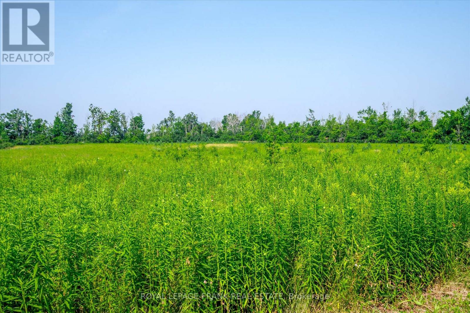 1060 Centre Line, Selwyn, Ontario  K9J 6X5 - Photo 40 - X12297549