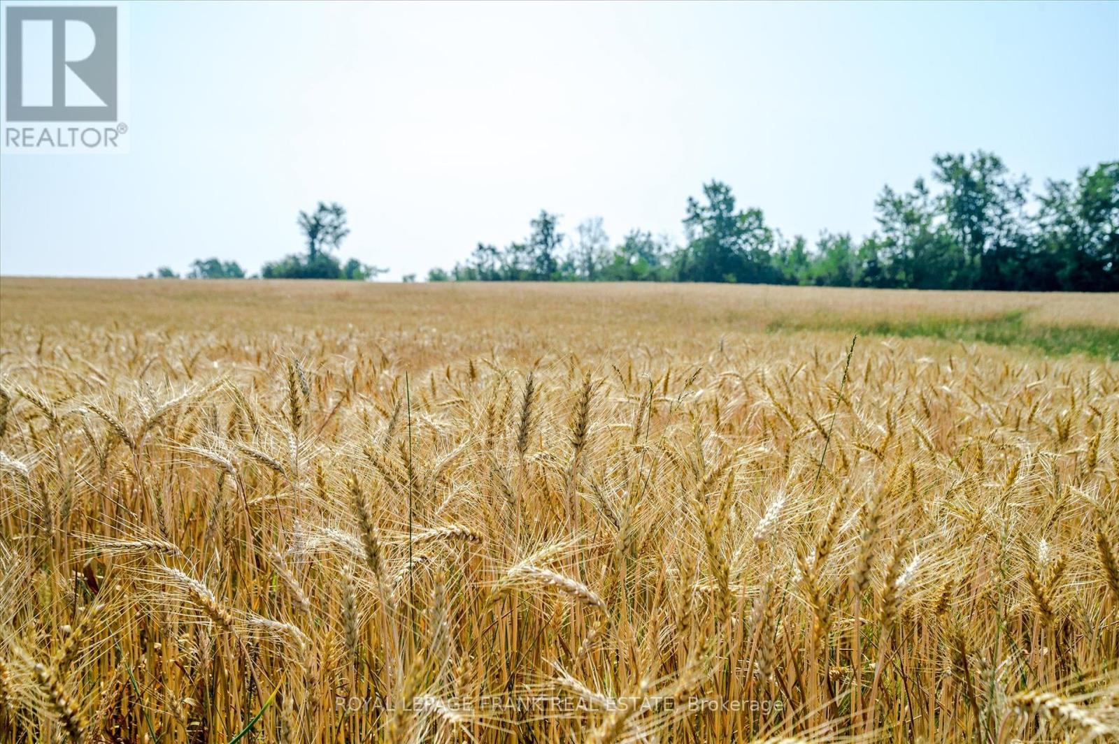 1060 Centre Line, Selwyn, Ontario  K9J 6X5 - Photo 37 - X12297549