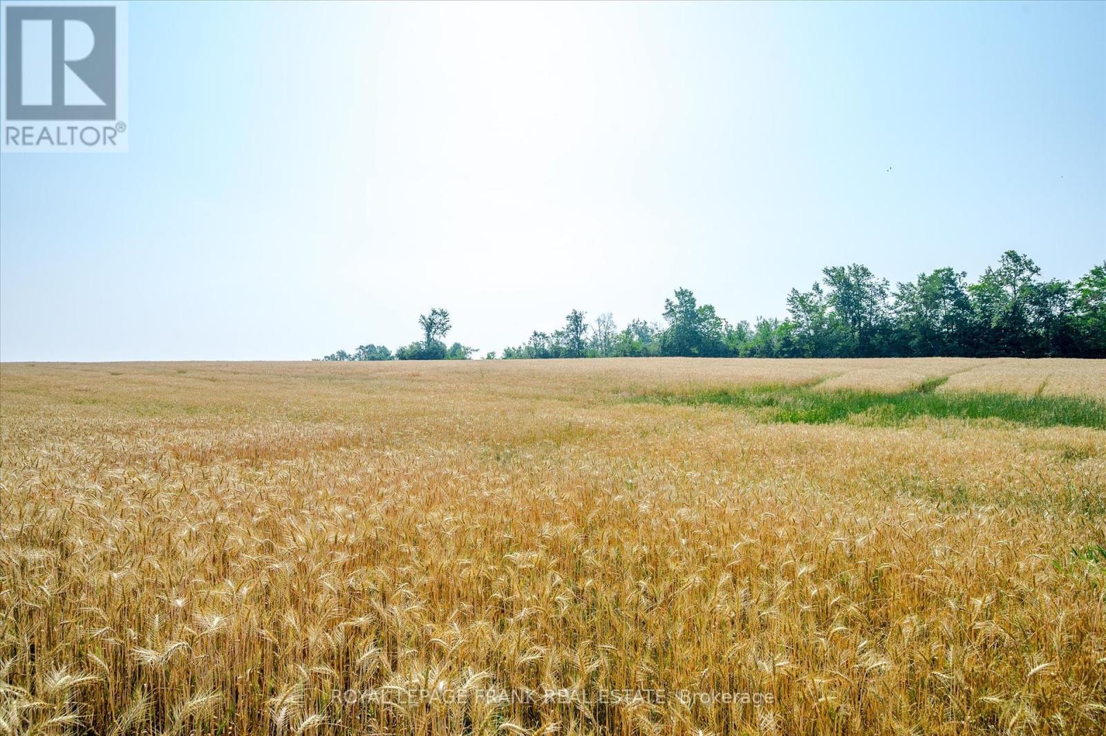 1060 Centre Line, Selwyn, Ontario  K9J 6X5 - Photo 38 - X12297549