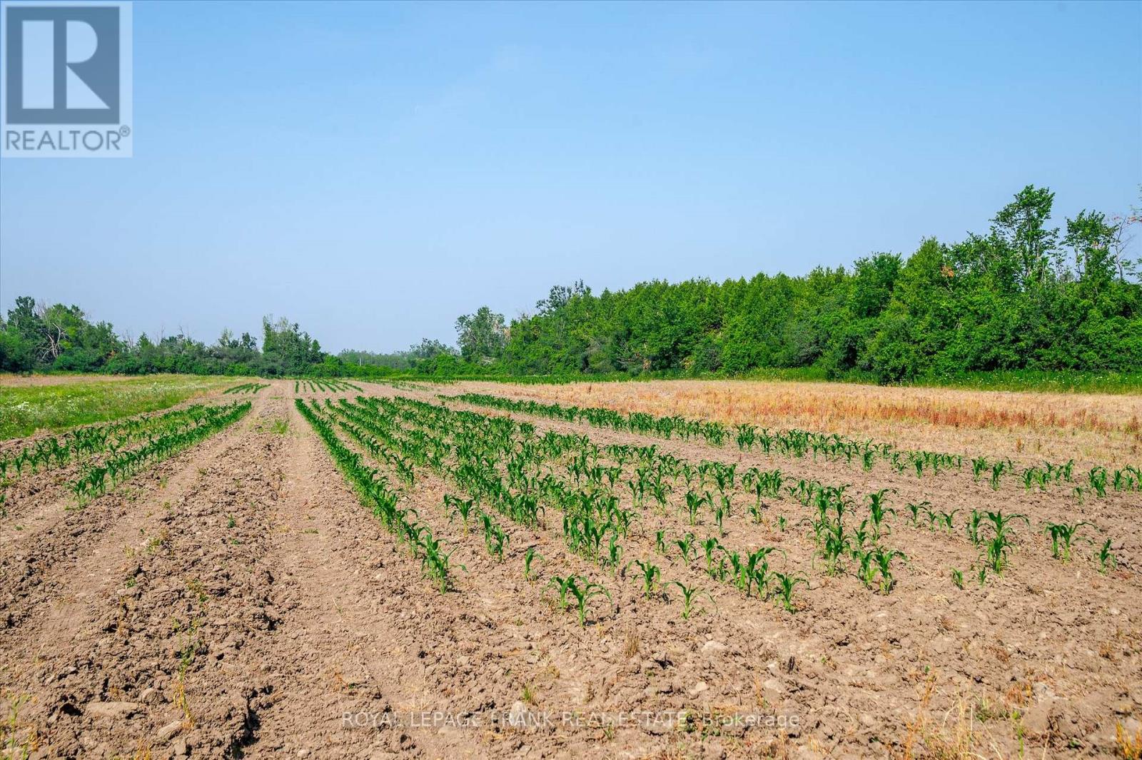 1060 Centre Line, Selwyn, Ontario  K9J 6X5 - Photo 41 - X12297549