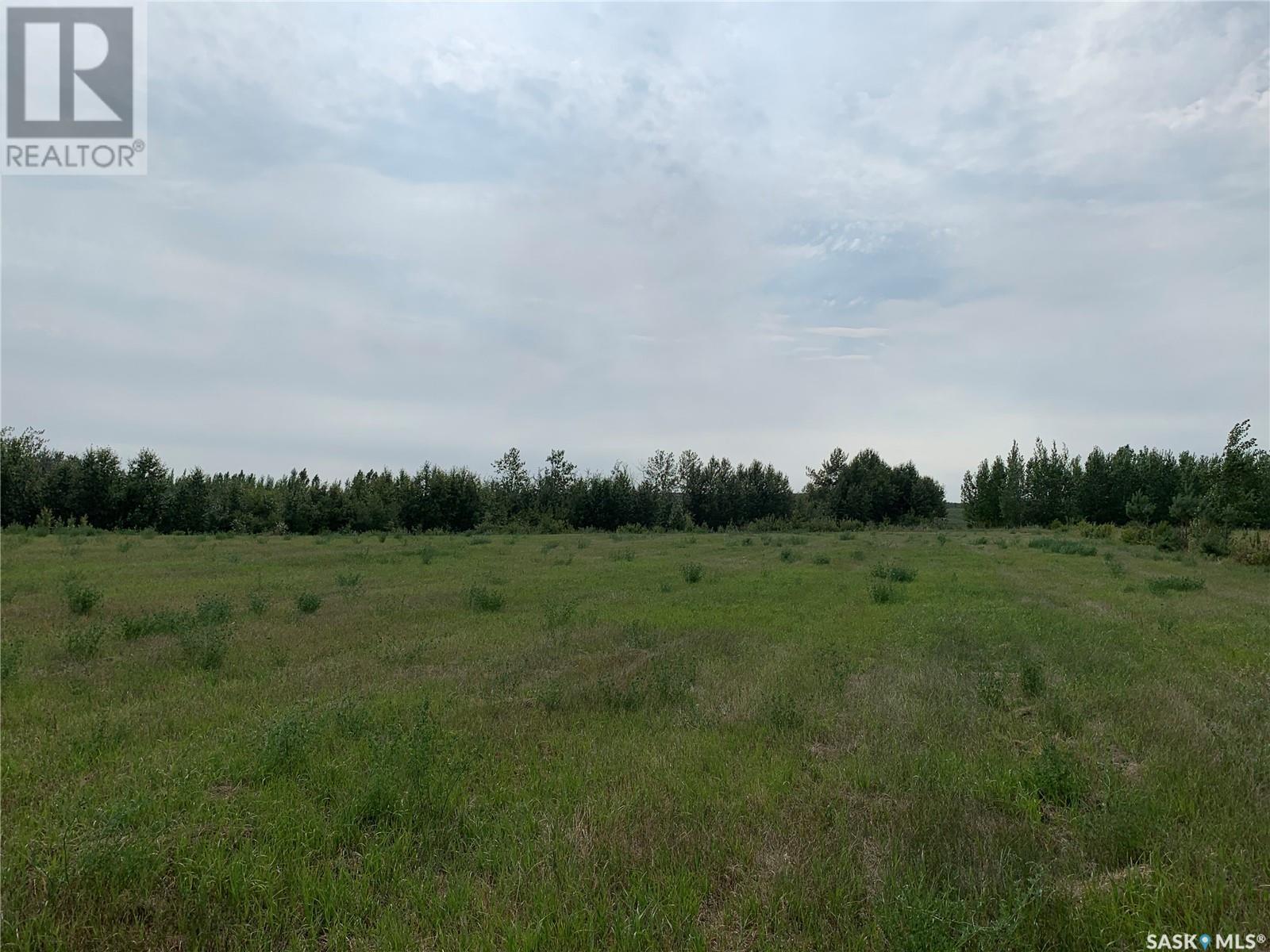 10 Lucien Lakeshore Drive, Three Lakes Rm No. 400, Saskatchewan  S0K 2X0 - Photo 7 - SK013296