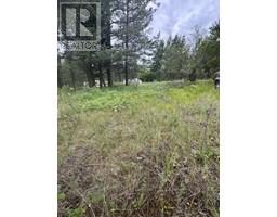 Lot 53 Hirtz Street, elko, British Columbia