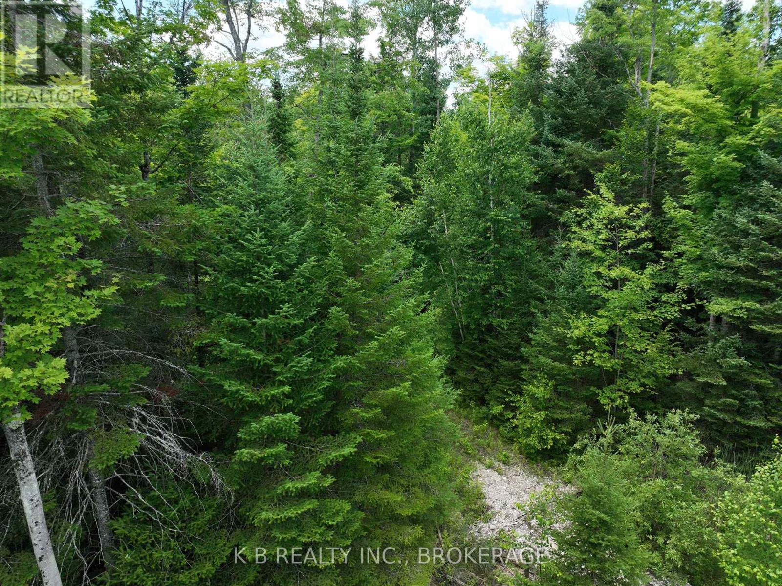17887 62 Highway, Tudor And Cashel, Ontario  K0K 1Y0 - Photo 28 - X12297865
