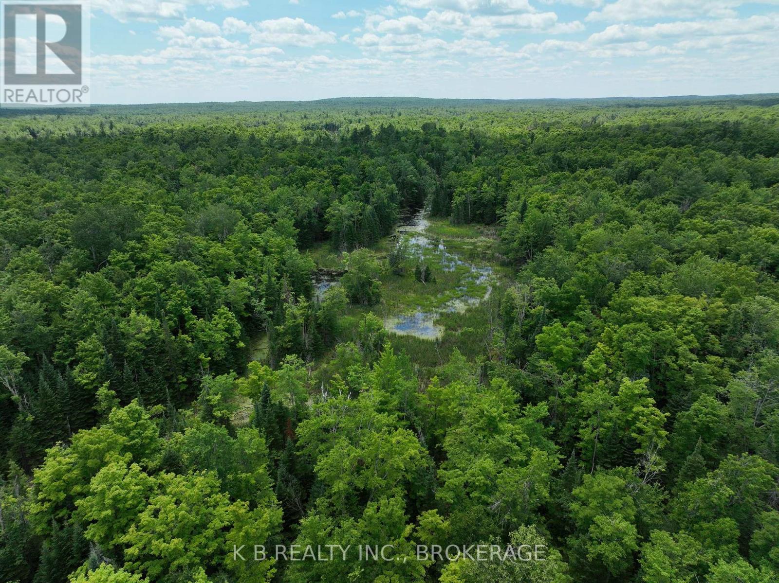 17887 62 Highway, Tudor And Cashel, Ontario  K0K 1Y0 - Photo 3 - X12297865