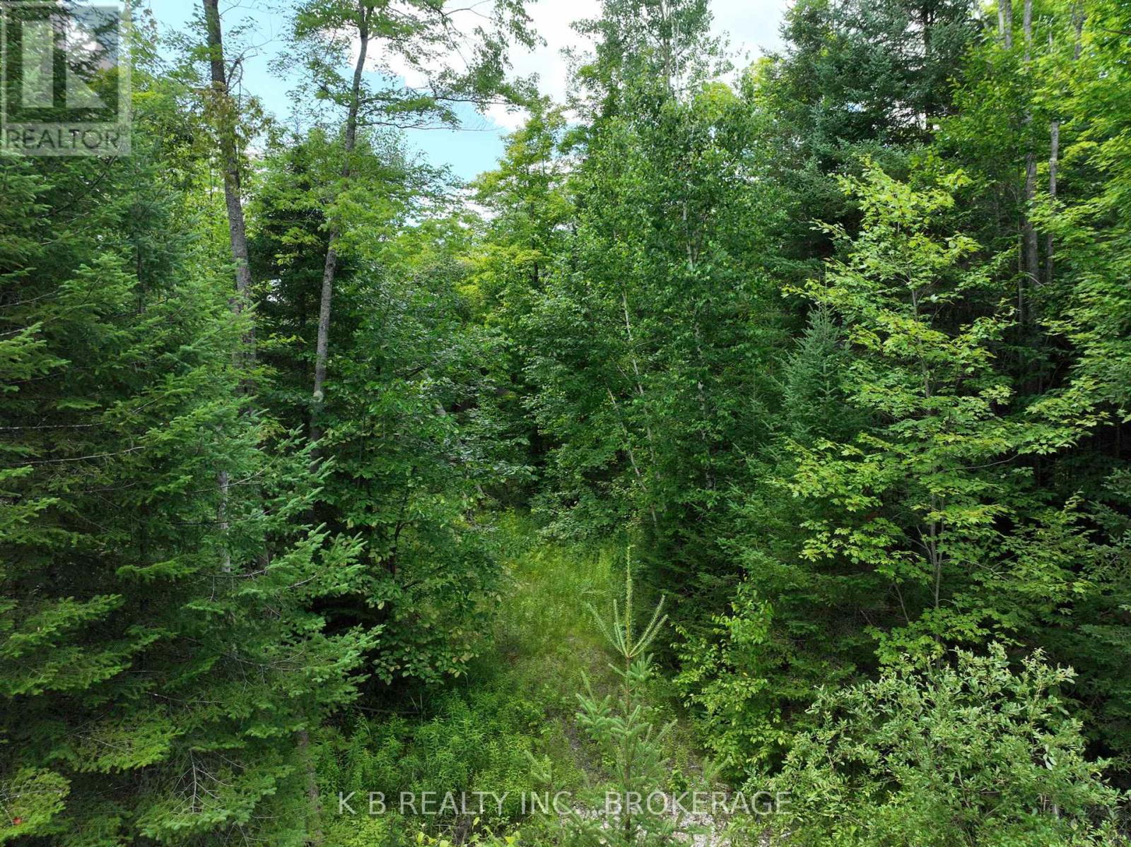 17887 62 Highway, Tudor And Cashel, Ontario  K0K 1Y0 - Photo 30 - X12297865