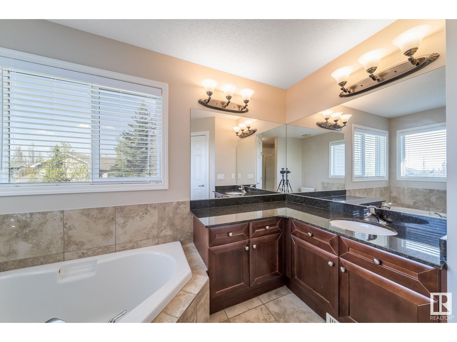 1157 Tory Rd Nw, Edmonton, Alberta  T6R 3P2 - Photo 41 - E4448909