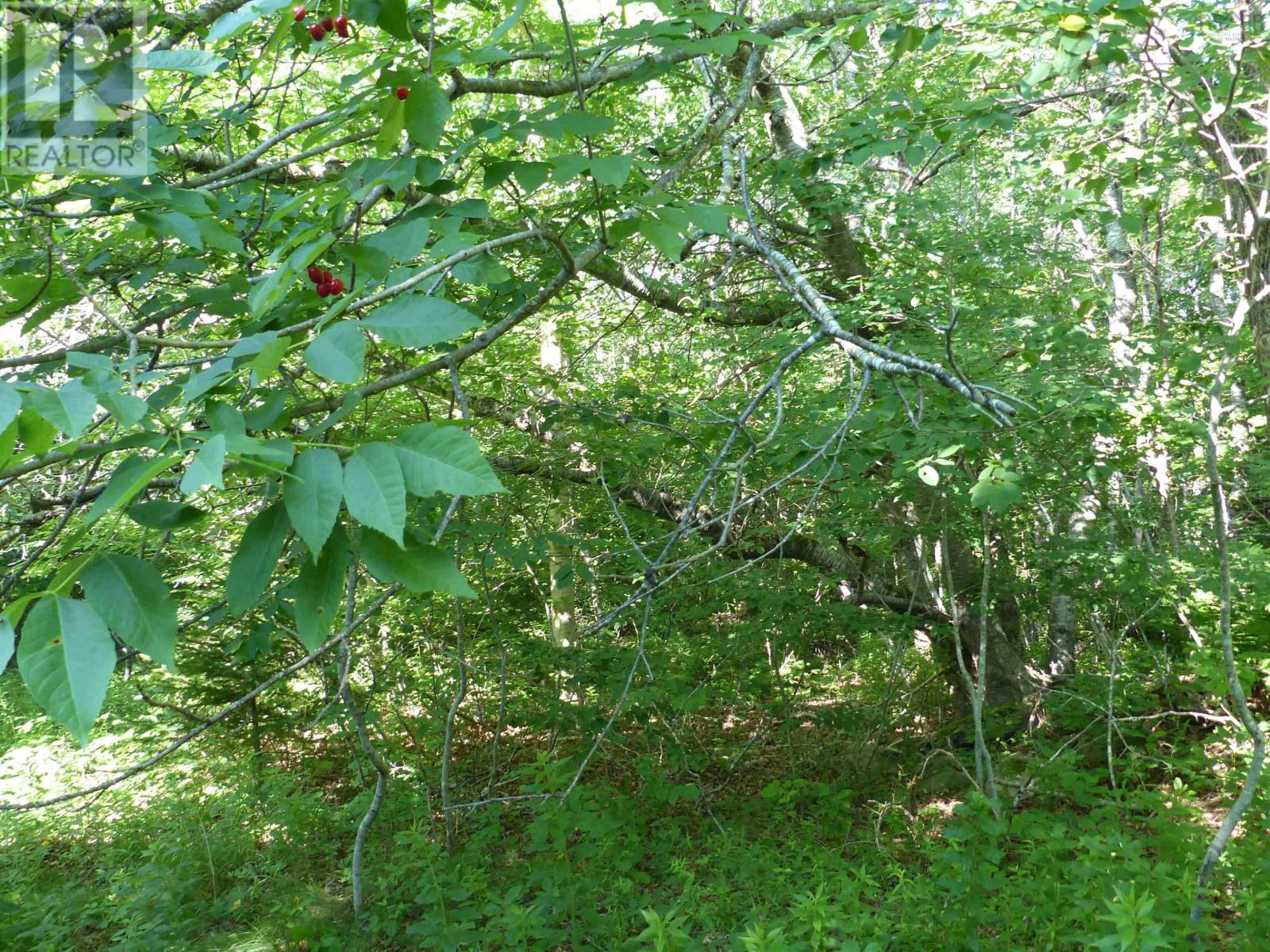 Lot 1 Highway 1, Clementsport, Nova Scotia  B0S 1E0 - Photo 9 - 202517987