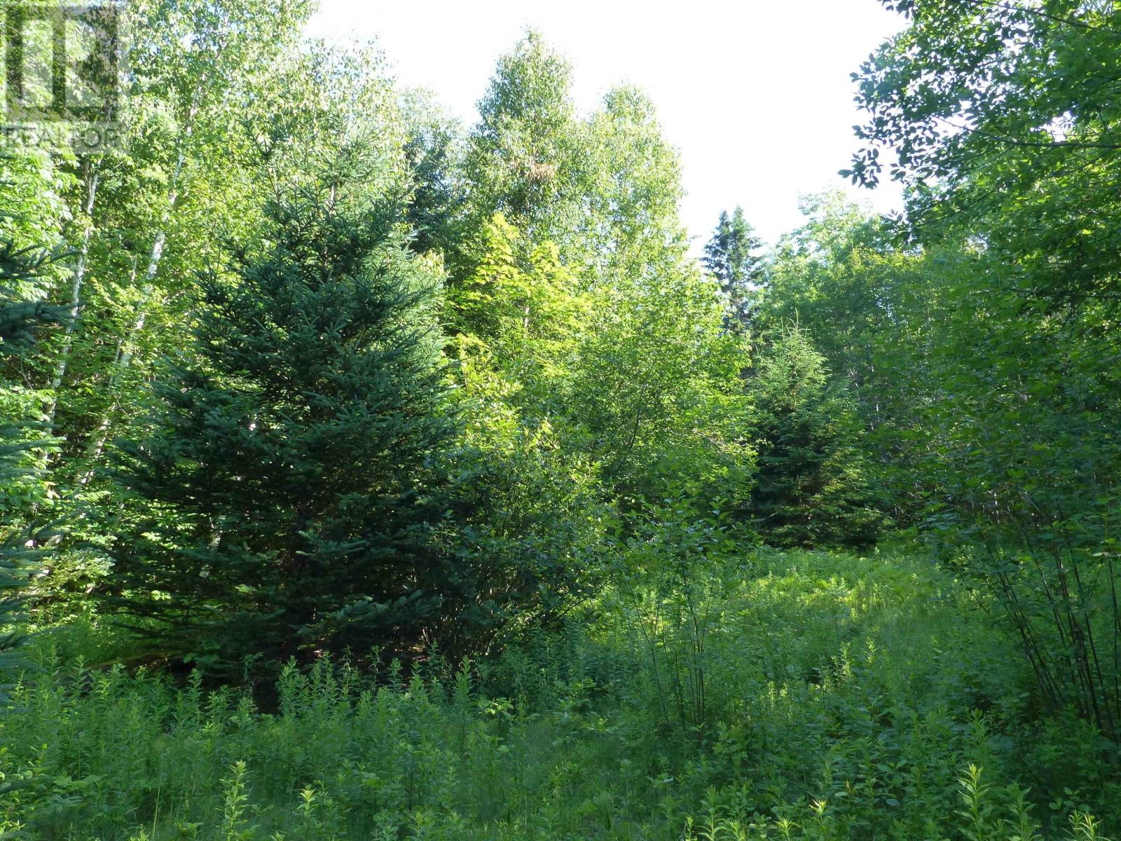 Lot 1 Highway 1, Clementsport, Nova Scotia  B0S 1E0 - Photo 11 - 202517987