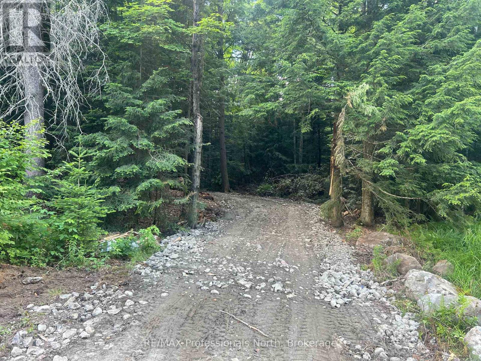 1163 25th Line Road, Algonquin Highlands (Stanhope), Ontario  K0M 1S0 - Photo 2 - X12198285
