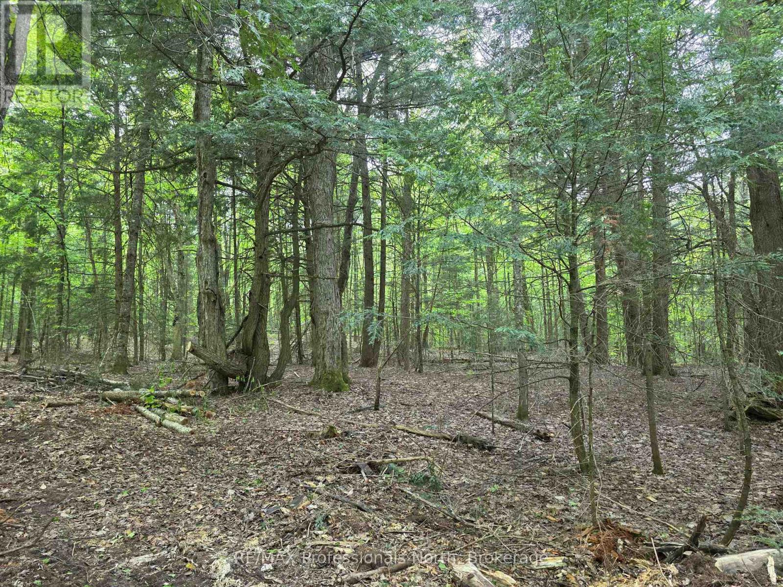 1163 25th Line Road, Algonquin Highlands (Stanhope), Ontario  K0M 1S0 - Photo 3 - X12198285
