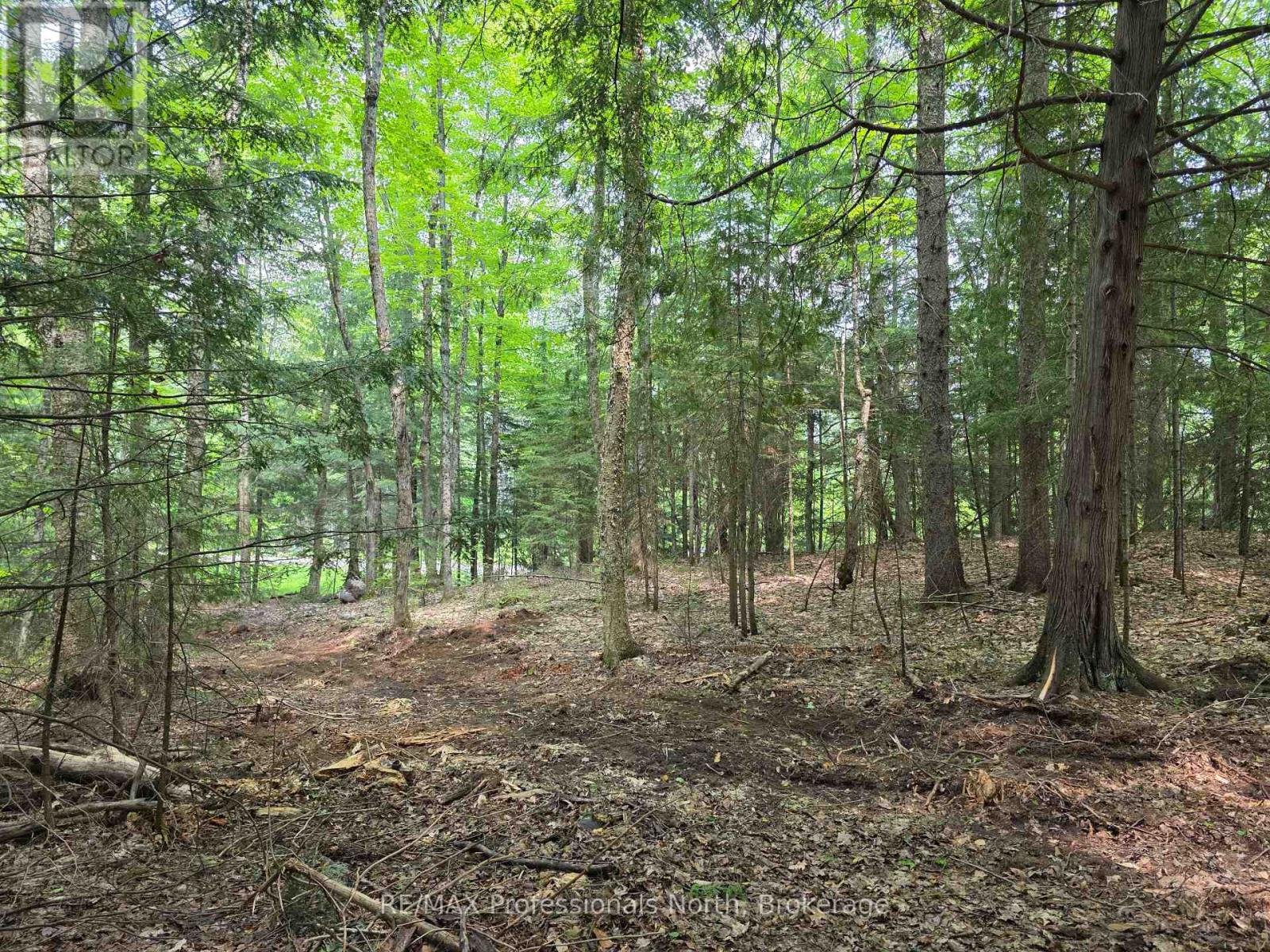 1163 25th Line Road, Algonquin Highlands (Stanhope), Ontario  K0M 1S0 - Photo 5 - X12198285